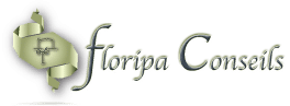 Logo Floripa Conseils
